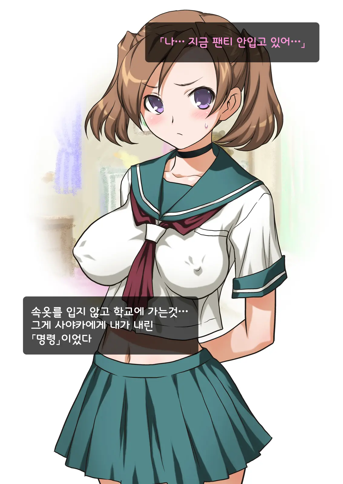 Imouto Wa Nama Onaho ~Sayaka Wa Onii-Chan Senyou Sei Gangu~